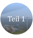 maissenPUBLIC-Hotel-01